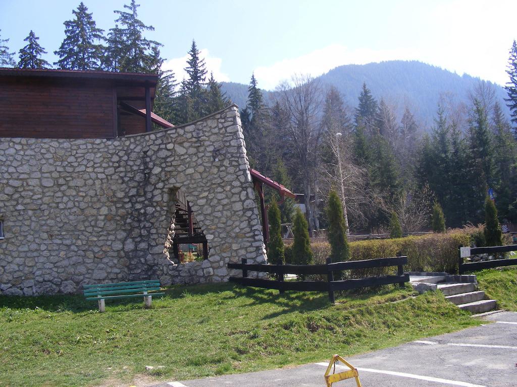 Studio Montana Пояна-Брашов Экстерьер фото
