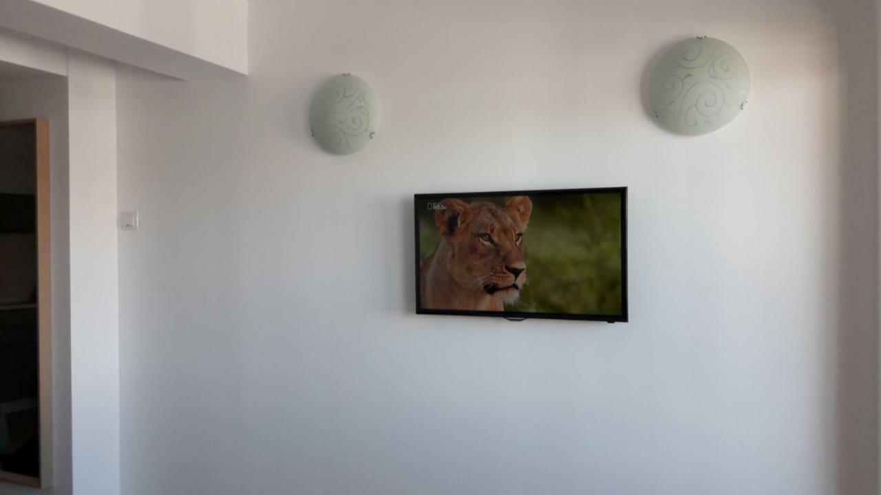 Studio Montana Пояна-Брашов Экстерьер фото